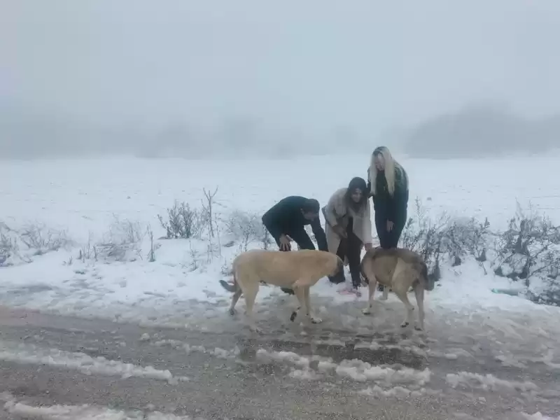 YAYLADAĞI BELEDİYESİ KARLA KAPLANAN YOLLARI AÇIYOR