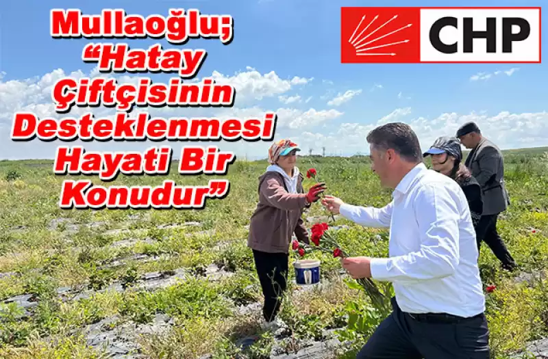 CHP HATAY MİLLETVEKİLİ ADAYI SERVET MULLAOĞLU'NDAN TARIM İŞÇİLERİNE ZİYARET