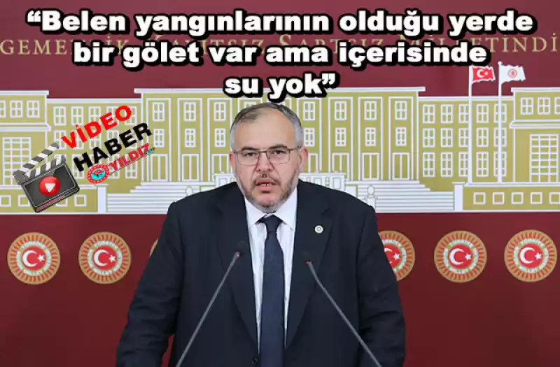 Çalışkan: “İktidar Orman Yangınlarından Ders Almıyor”