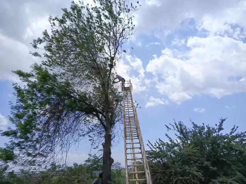 ANTAKYA BELEDİYESİ EKİPLERİ PARK VE YEŞİL ALANLARDA  ÇALIŞMALARINI SÜRDÜRÜYOR