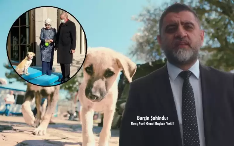 Genç Parti’den Sert çıkış: “Ülkede Başıboş Köpek Değil, Krizi Bilinçli Büyüten Iktidar Sorunu Var!”