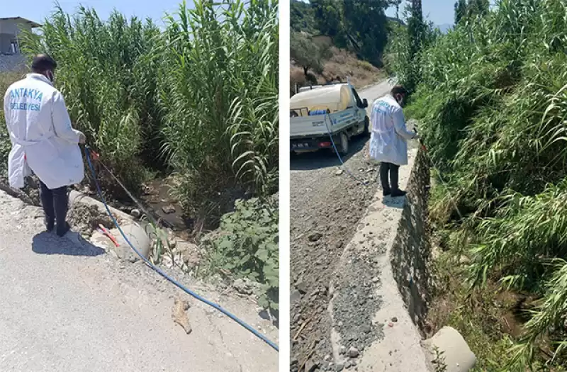 ANTAKYA’DA İLAÇLAMA ÇALIŞMALARI ARALIKSIZ OLARAK DEVAM EDİYOR