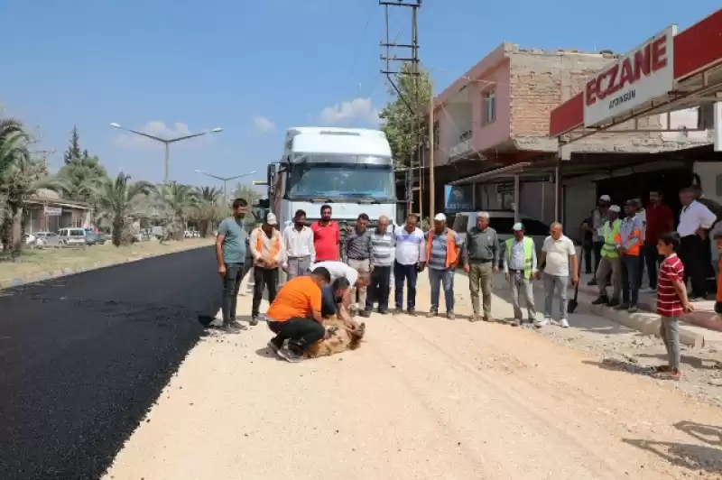 BETON ASFALTA KAVUŞAN AKTEPE MUHTARI KURBAN KESTİ