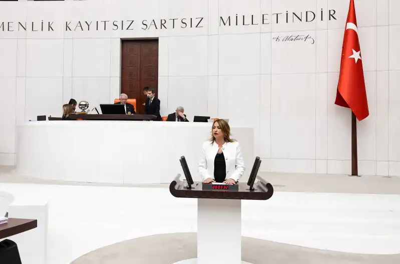 YILDIRIM KARA: LİMONA İHRACAT YASAĞI HATALIDIR VE SONUÇ VERMEYECEKTİR