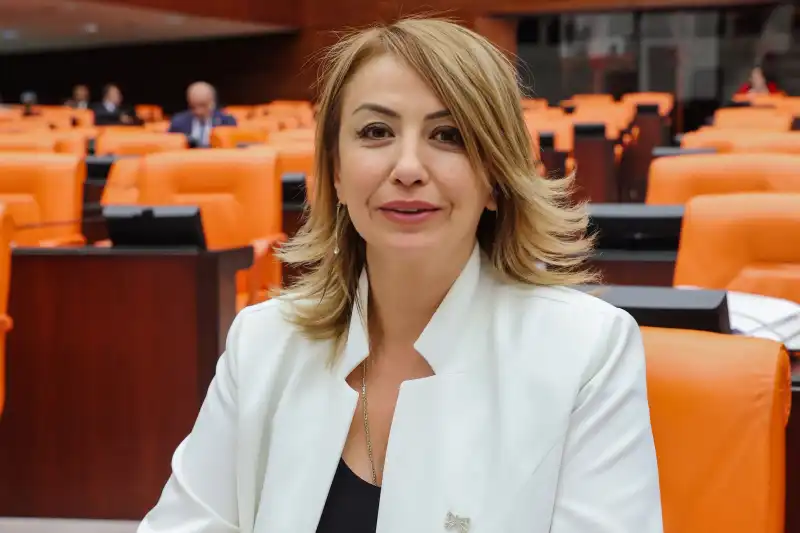 YILDIRIM KARA: RUHSAT VERİLME ORANI SADECE YÜZDE 5