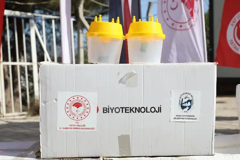 Akdeniz Meyve Sineğiyle Mücadelede Kurumlar Arası Işbirliği