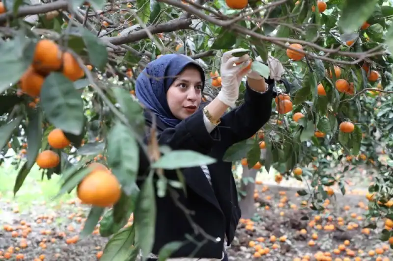 ÖĞRENCİLER TOPLADI, HBB DAĞITTI