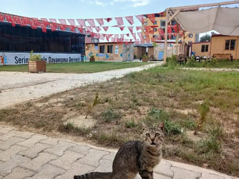 SEDYAD HATAY BASININI AĞIRLADI   