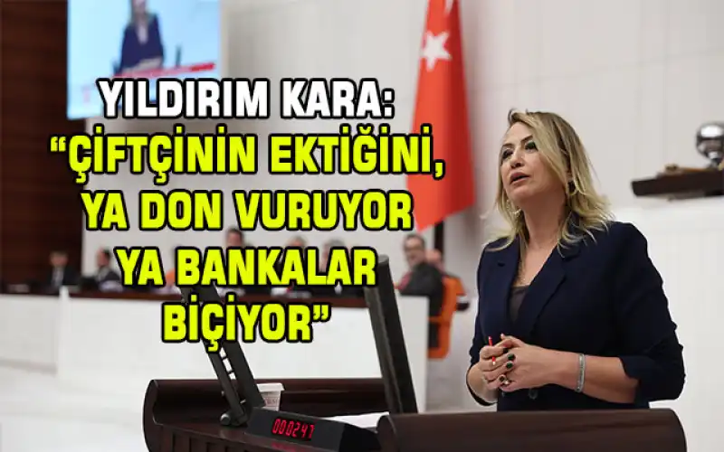 Yıldırım Kara: “AKP ‘tarımı Nasıl Bitirebilirim?’ Diye Düşünüp Hareket Ediyor”