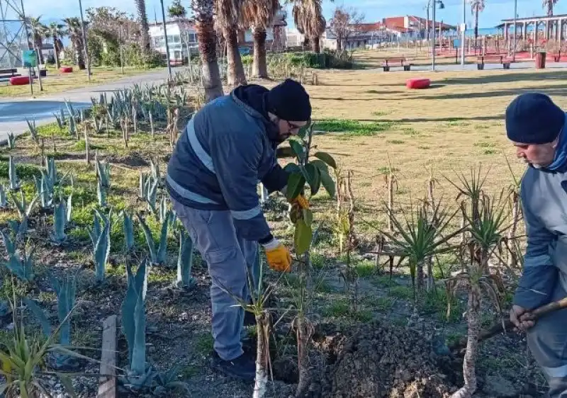 Samandağ Park Ve Bahçeler Müdürlüğü’nden Yoğun Çalışma