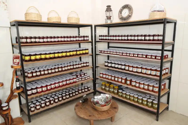 Vali Masatlı’dan Samandağ Kadın Kooperatifi’ne Destek Ziyareti 