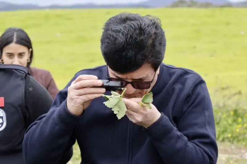 HBB ÇİLEK YETİŞTİRİCİLİĞİ KURSU VERDİ