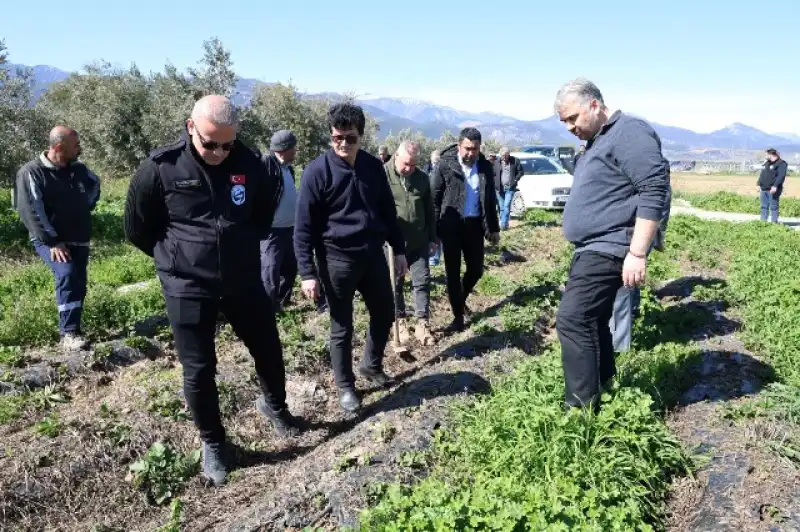 HBB ÇİLEK YETİŞTİRİCİLİĞİ KURSU VERDİ