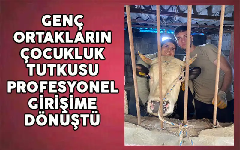 Antakya’da Genç Girişimcilerin Başarı Hikayesi