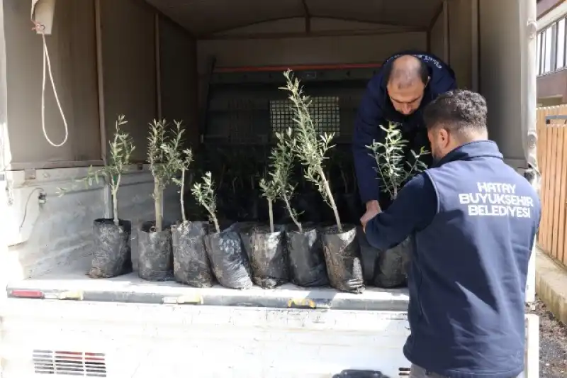 Minikler, HBB Ile Okullarını Ağaçlandırıyor