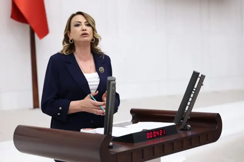 Yıldırım Kara: “Engelli Bir Yurttaş 7 Bin 655 Lirayla Ne Yapabilir?”