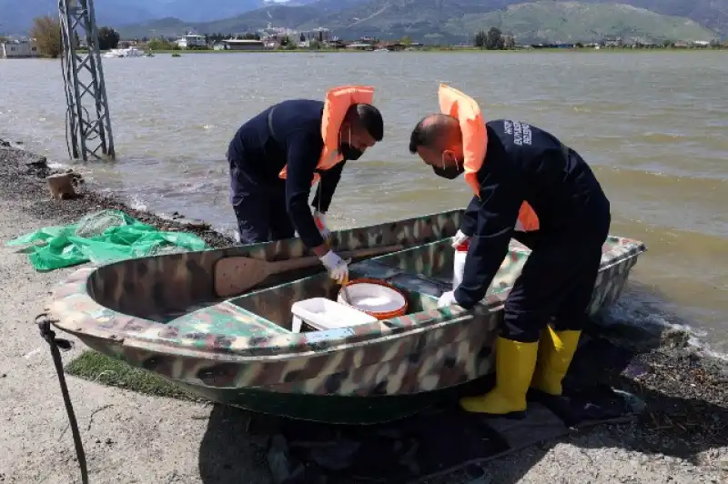 HBB Haşereyle Mücadele çalışmalarına Devam Ediyor
