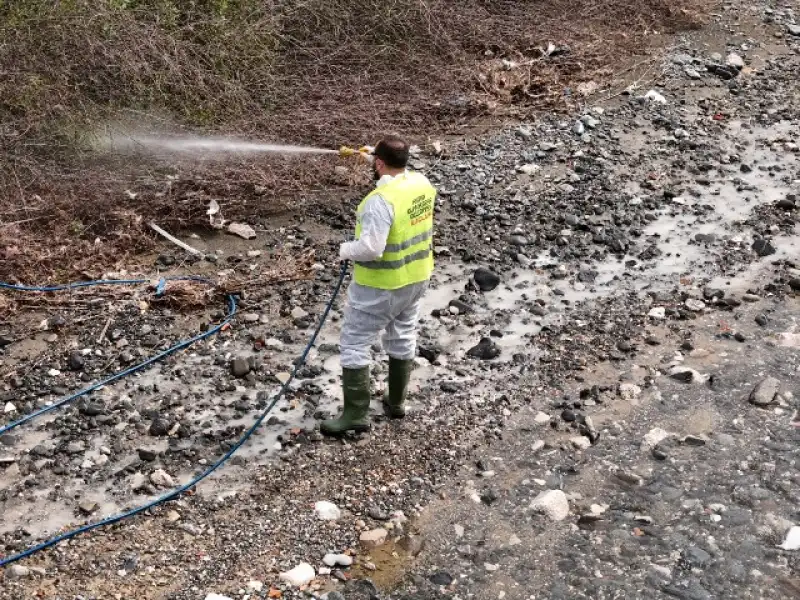 HBB Haşereyle Mücadele çalışmalarına Devam Ediyor