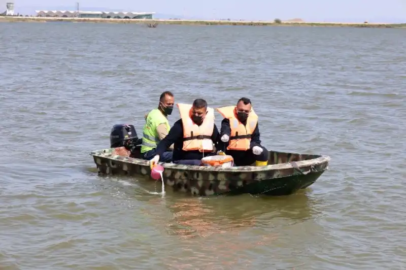 HBB Haşereyle Mücadele çalışmalarına Devam Ediyor