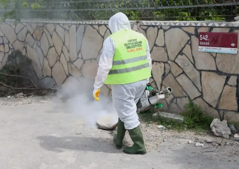 HBB Haşereyle Mücadele çalışmalarına Devam Ediyor