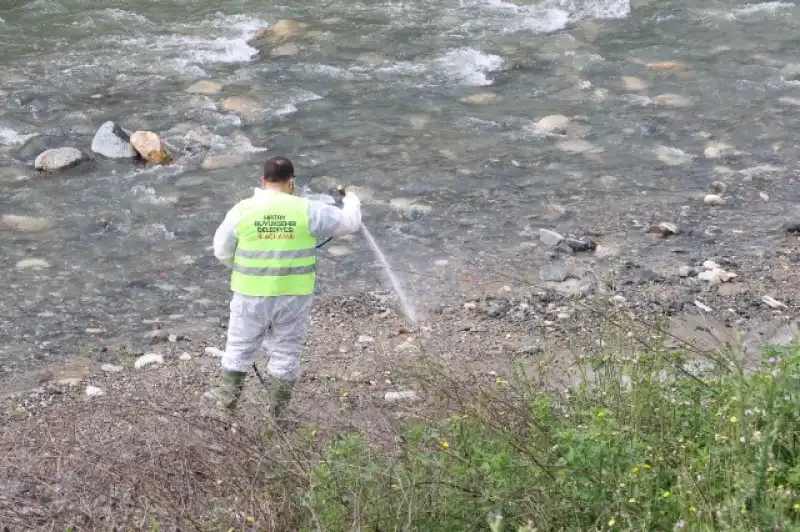HBB Haşereyle Mücadele çalışmalarına Devam Ediyor