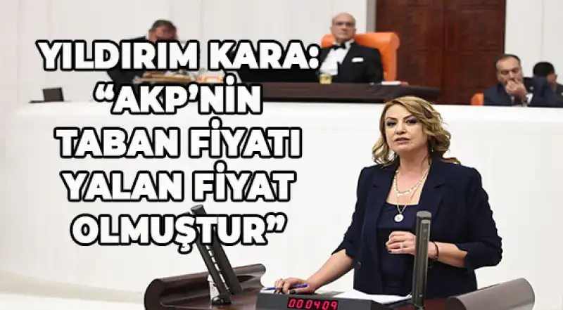 Yıldırım Kara: “TMO Bu Yıl Da Çiftçinin Sesini Duymadı”