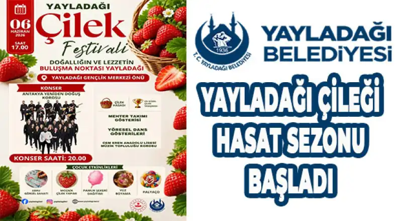 Yayladağı’nda Çilek Ve Müzik Şöleni…