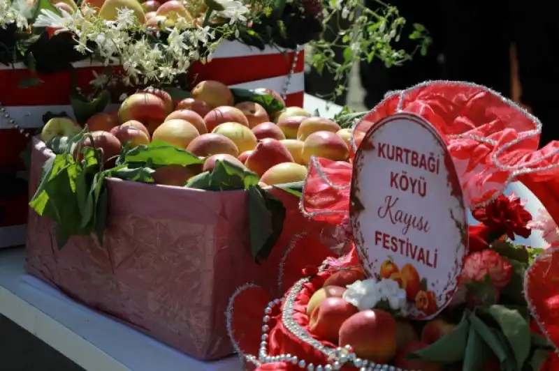 Geleneksel Kurtbağı Kayısı Festivali Düzenlendi