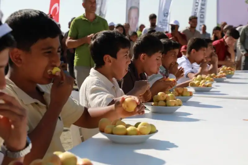Geleneksel Kurtbağı Kayısı Festivali Düzenlendi
