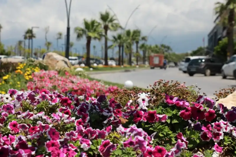 İSKENDERUN SAHİLİ RENKLİ ÇİÇEKLERLE SÜSLENDİ
