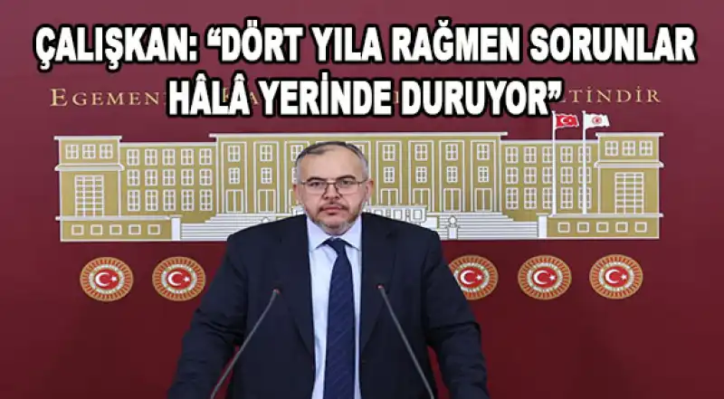 Çalışkan: 