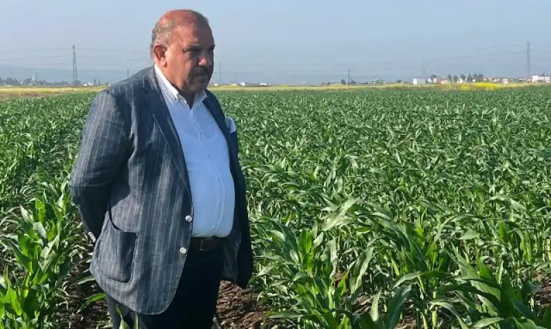 Zaroğlu: