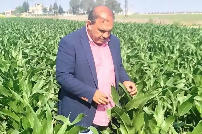 Zaroğlu: