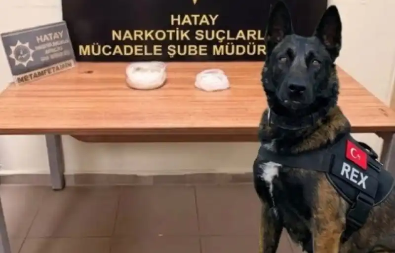 Hatay’da Dev Uyuşturucu Operasyonu: İki İlçede Çok Sayıda Tutuklama!