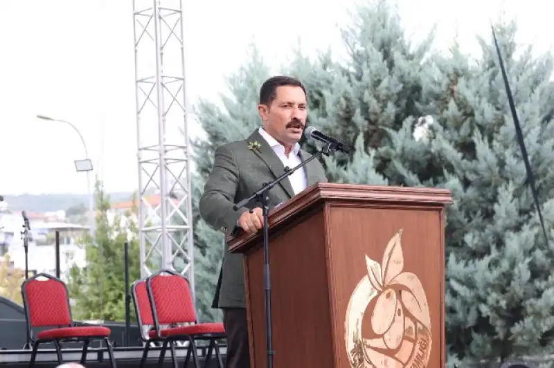 ZEYTİNDE İLK HASAT HEYECANI…