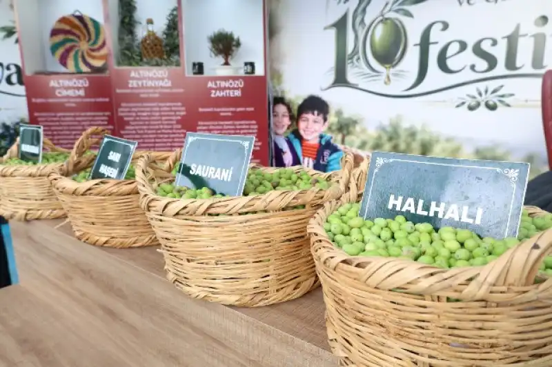 ALTINÖZÜ FESTİVALİ’NDE ZEYTİN, LEZZET VE EĞLENCE BİR ARADA