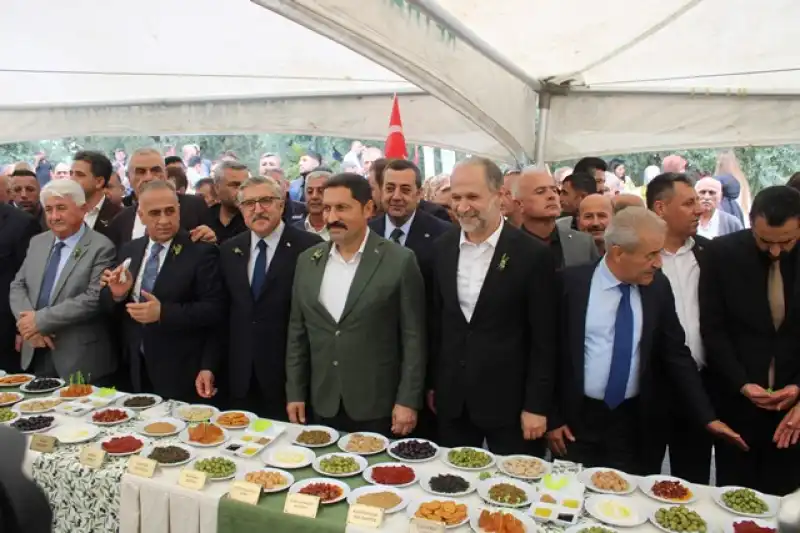 ALTINÖZÜ FESTİVALLE COŞTU…