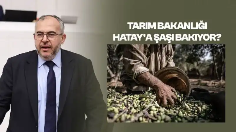 ÇALIŞKAN: “HATAY’LI ZEYTİN ÜRETİCİSİ PERİŞAN”